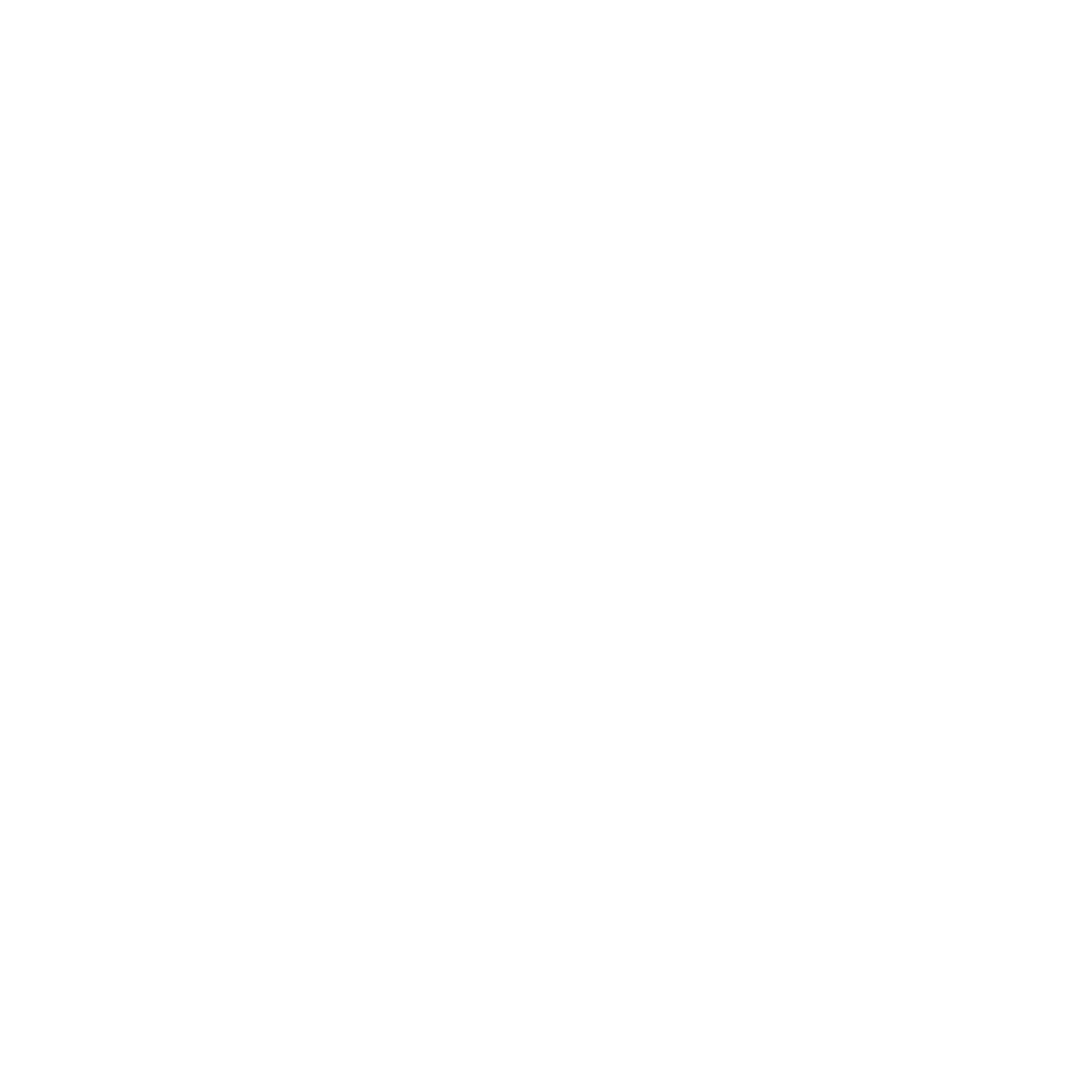Brixton Chamber Orchestra